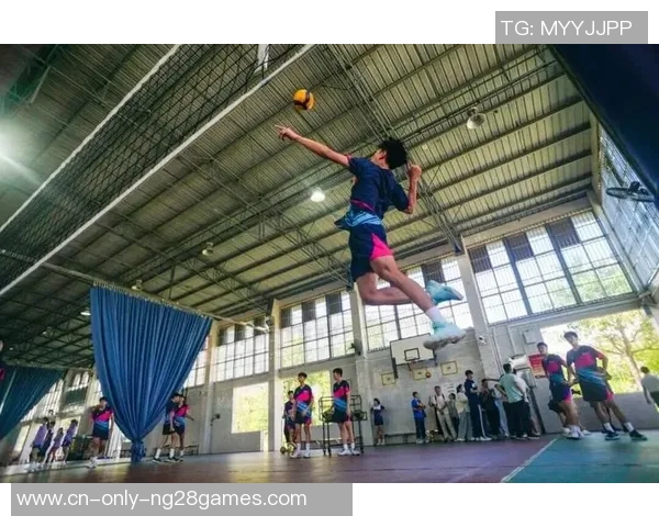 排球弧线勾勒江门体育性情